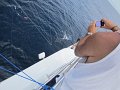 IMG_0302