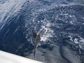 IMG_0303