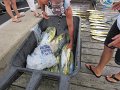 IMG_0321