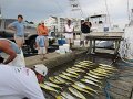 IMG_0322