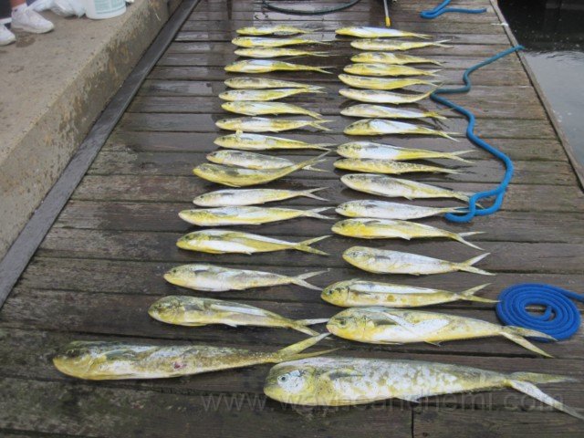2012-07-15_212113_Summer_12_121_640x480.jpg