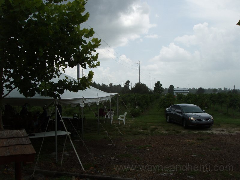 P8160010.JPG