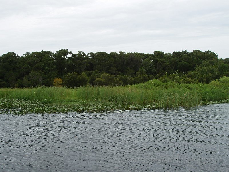 P8180062.JPG