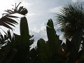 P8170054