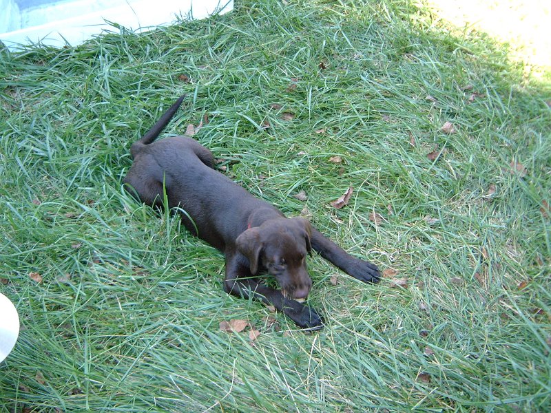 DSCF2109.JPG