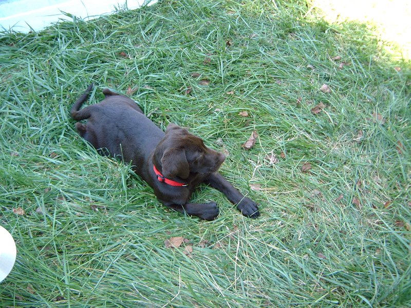 DSCF2111.JPG