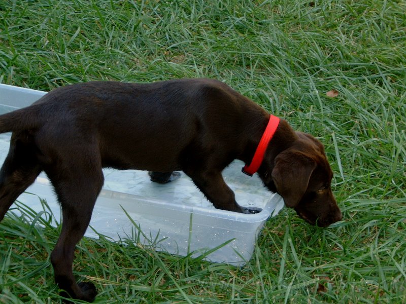 DSCF2117.JPG