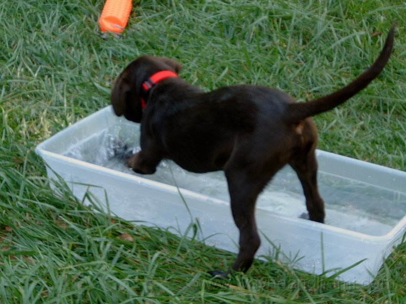DSCF2118.JPG