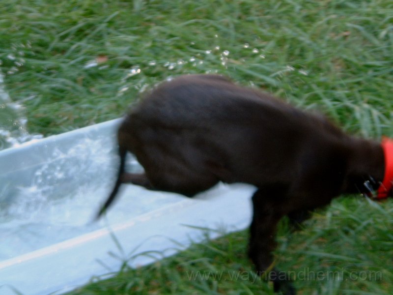 DSCF2119.JPG
