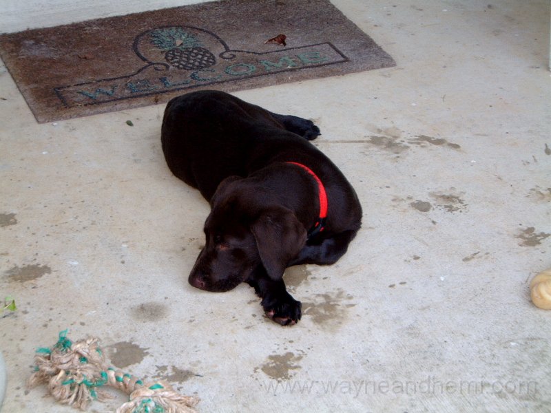 DSCF2120.JPG