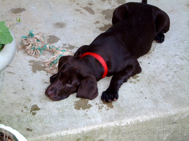DSCF2121.JPG