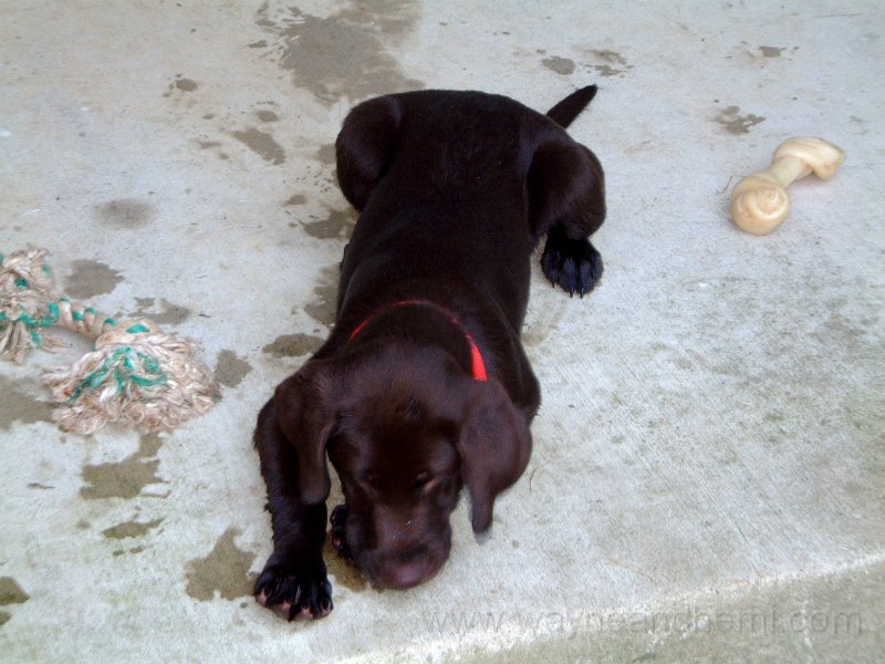 DSCF2122.JPG