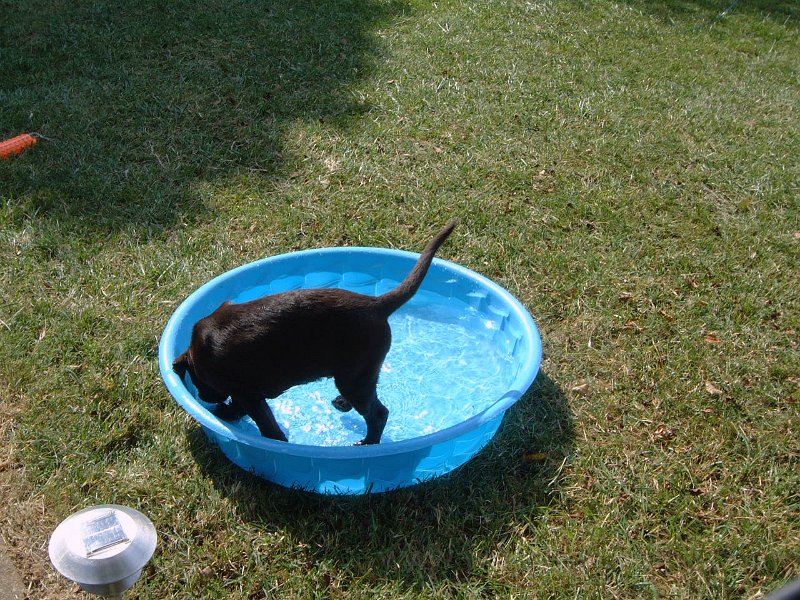 DSCF2127.JPG