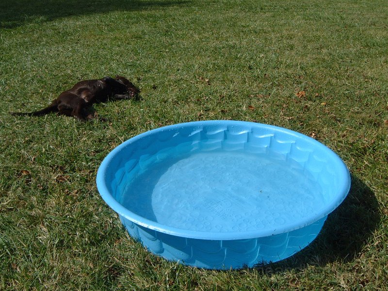 DSCF2129.JPG
