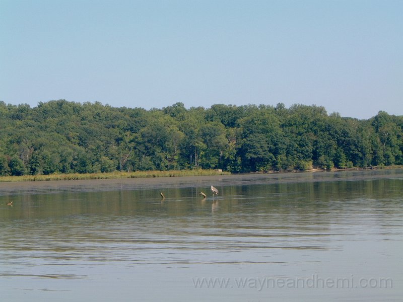 DSCF2136.JPG