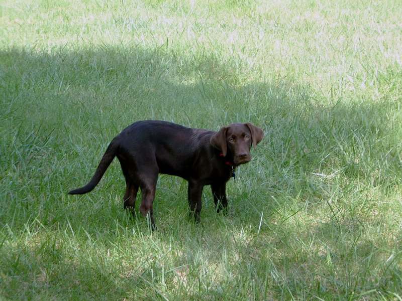 DSCF2148.JPG
