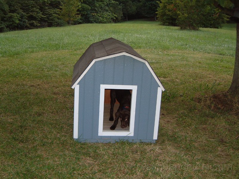 DSCF2151.JPG