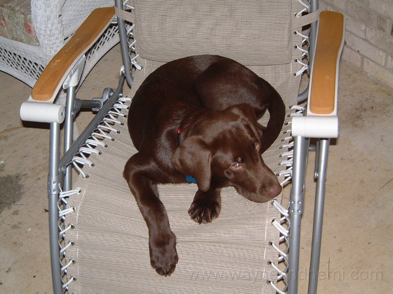 DSCF2152.JPG