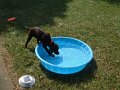 DSCF2124