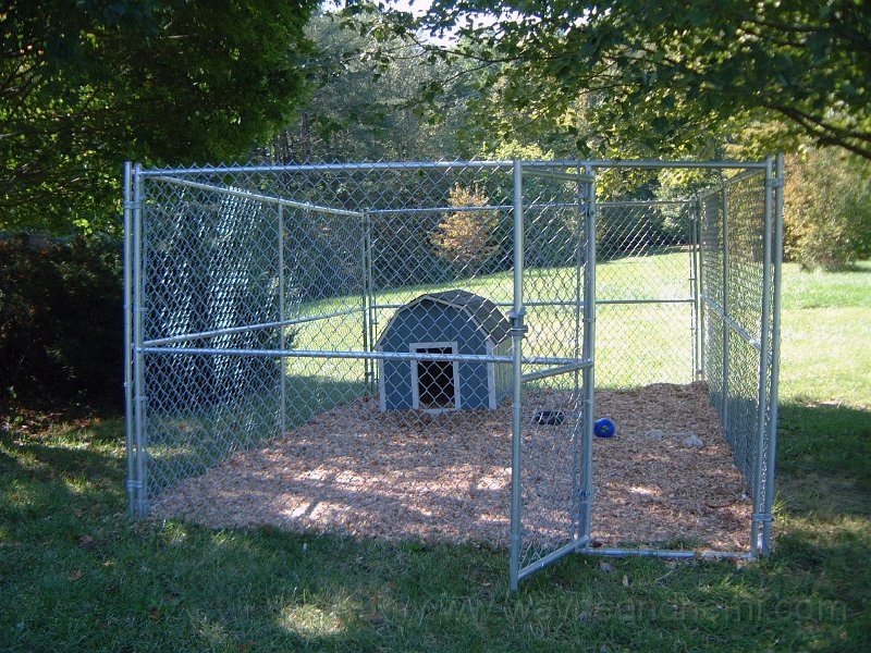 DSCF2208.JPG