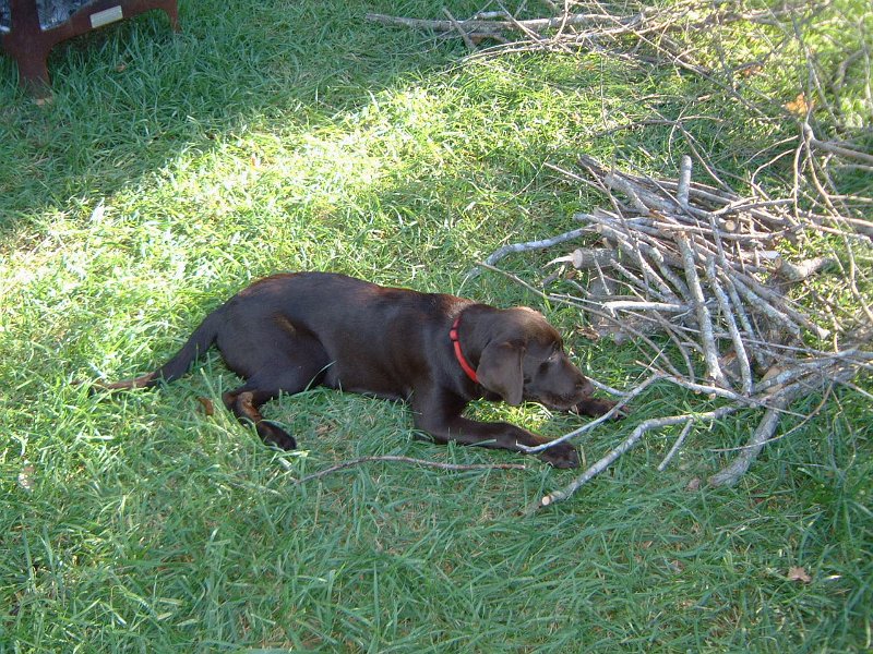 DSCF2227.JPG
