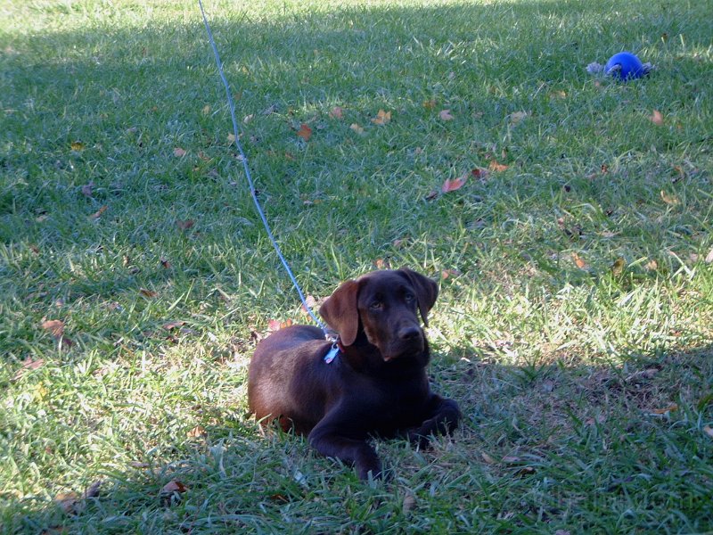 DSCF2238.JPG