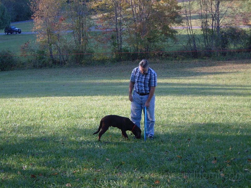 DSCF2248.JPG