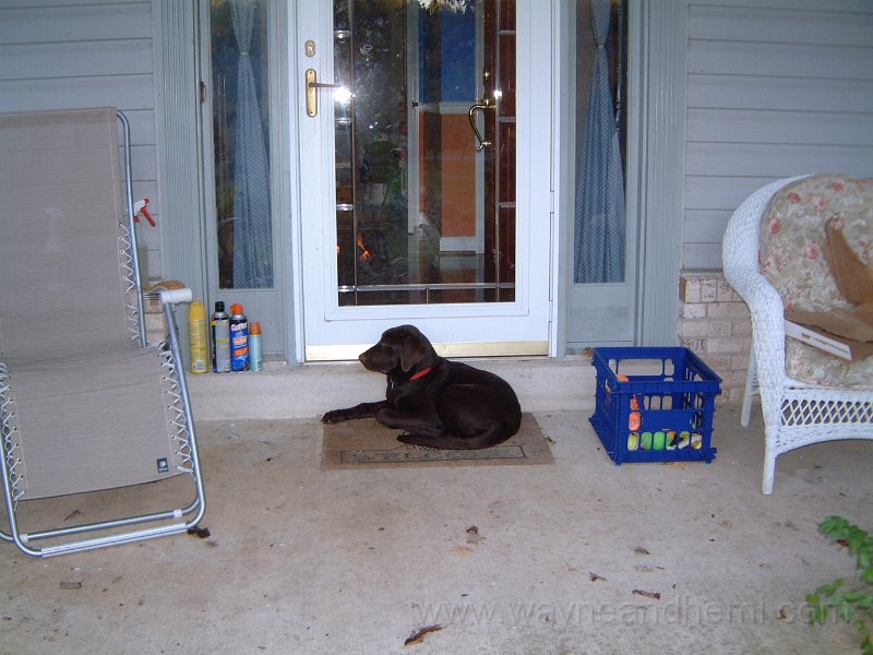 DSCF2254.JPG