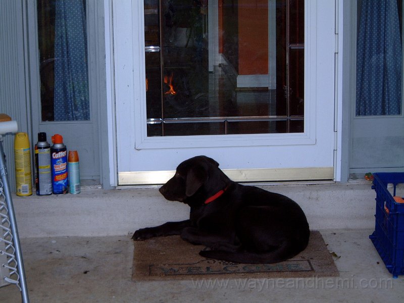 DSCF2255.JPG