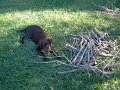 DSCF2229
