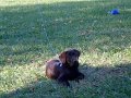 DSCF2238