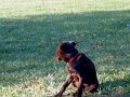 DSCF2239