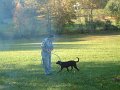 DSCF2241