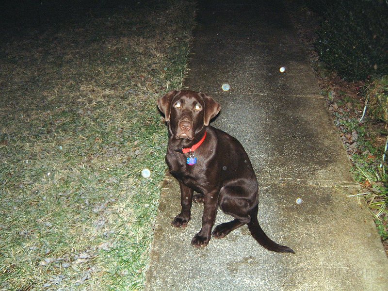 DSCF2290.JPG