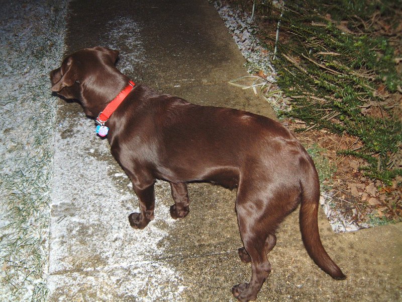 DSCF2294.JPG