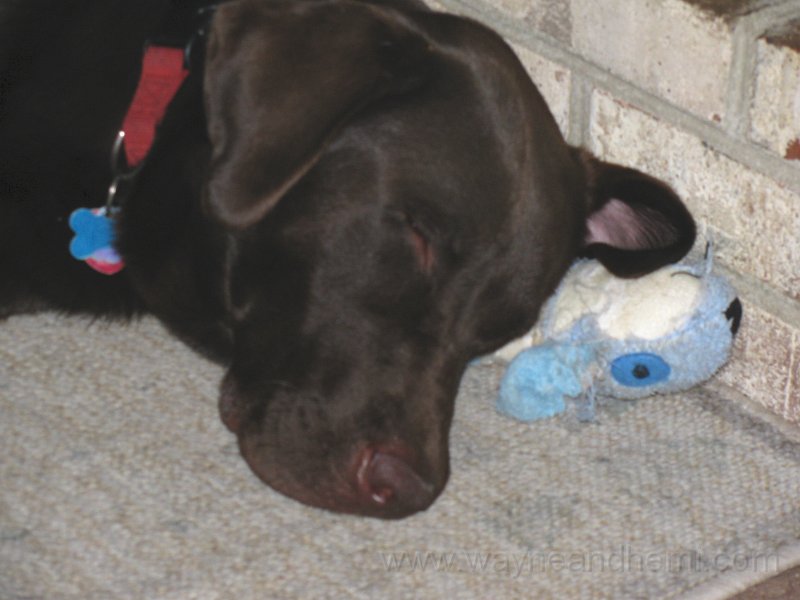 2009_06_29_0330.JPG
