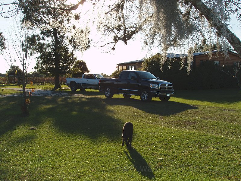 P1110009.JPG