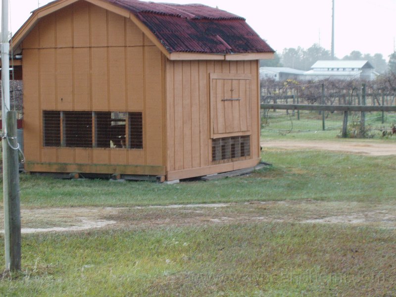 P1120028.JPG