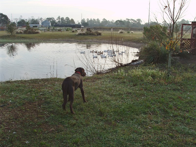 P1120038.JPG