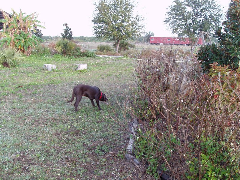 P1120039.JPG
