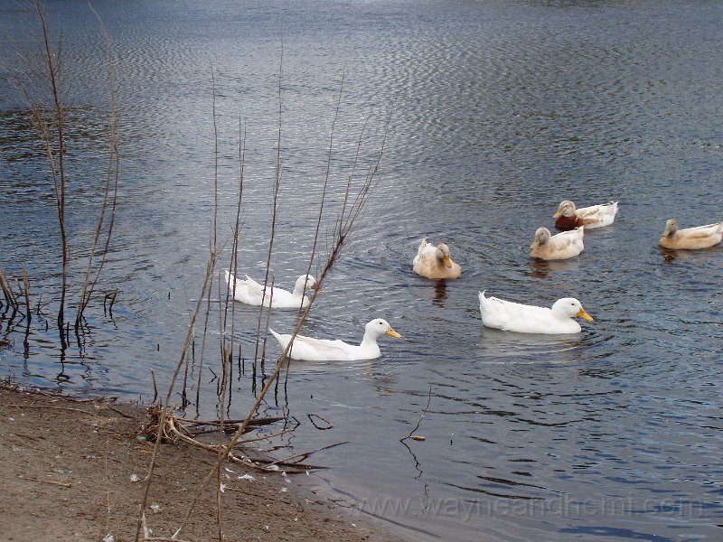 P1130063.JPG