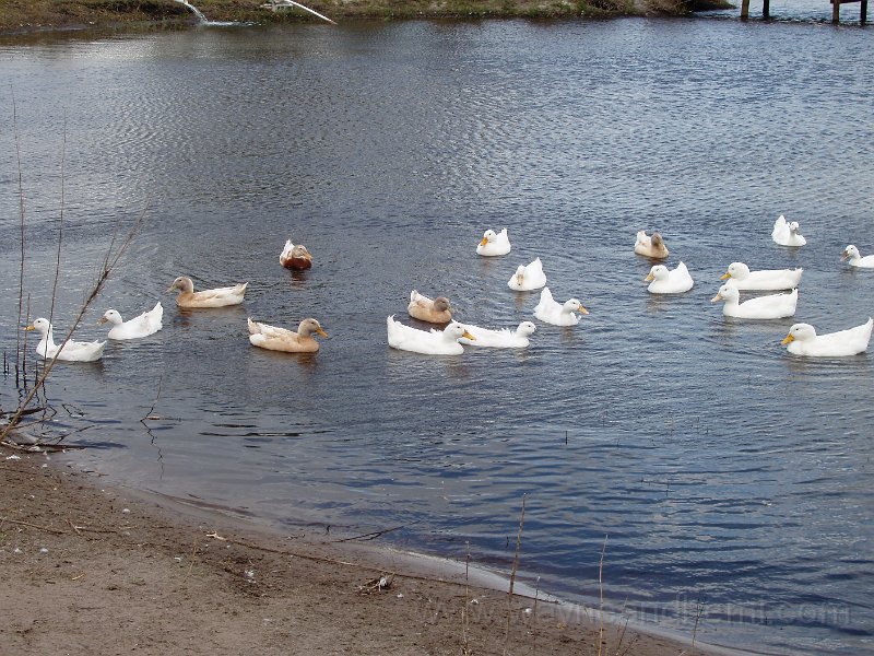 P1130064.JPG