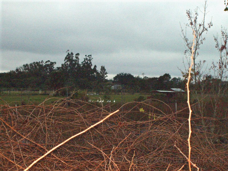 P1130092.JPG