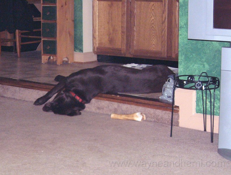 DSCF0006.JPG