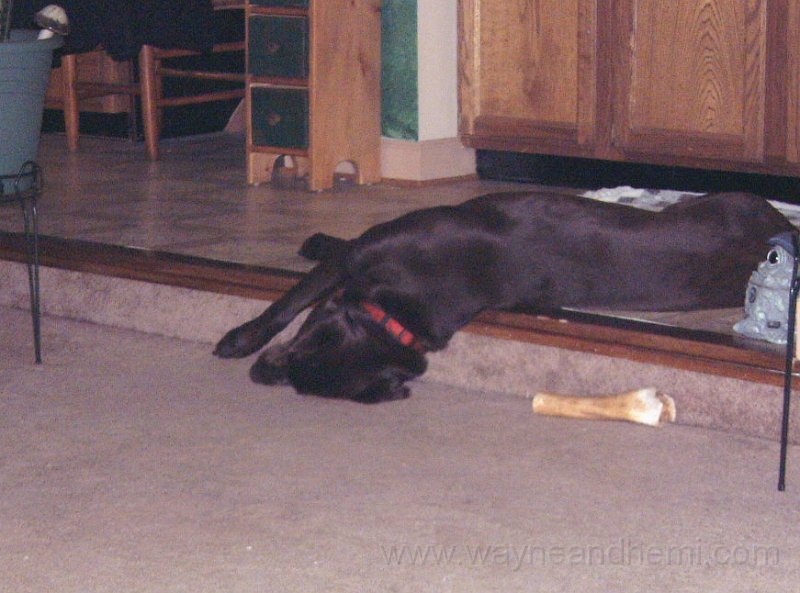 DSCF0007.JPG
