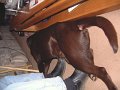 DSCF0018