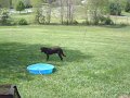 DSCF0034