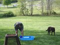 DSCF0038