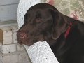 IMG_0015
