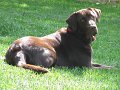 IMG_0038
